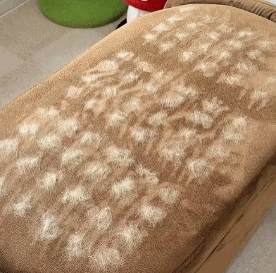 Pawzioo™ ShedAway Magic Mitt