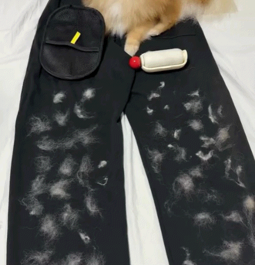 Pawzioo™ ShedAway Magic Mitt