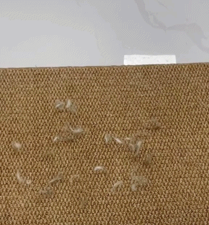 Pawzioo™ ShedAway Magic Mitt